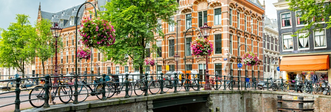 Guidare ad Amsterdam e dintorni